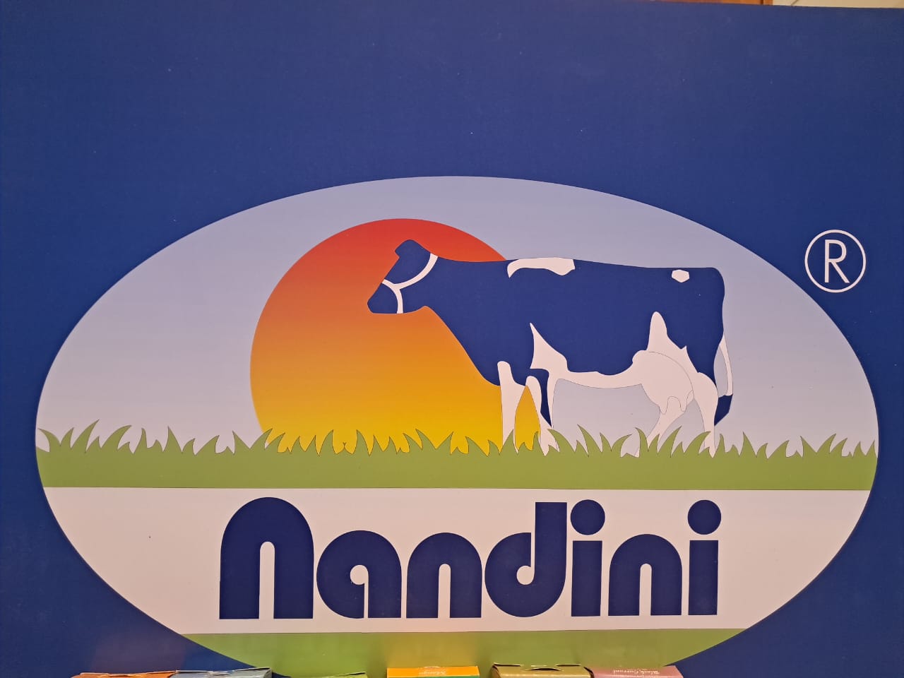 Nandini Milk